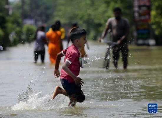 11月24日，一名男孩在斯里蘭卡加姆珀哈涉水出行。新華社發(fā)（阿吉特·佩雷拉攝）