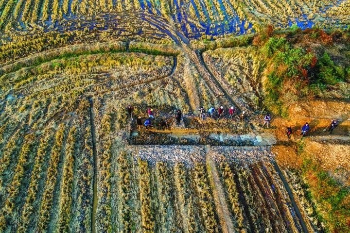 良渚遺址考古發(fā)掘現(xiàn)場。