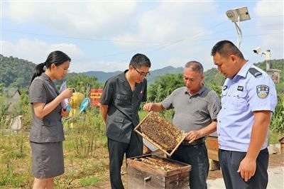  圖②：蒙山法院黃村法庭法官深入蜂蜜合作社，實地了解蜂農(nóng)需求。