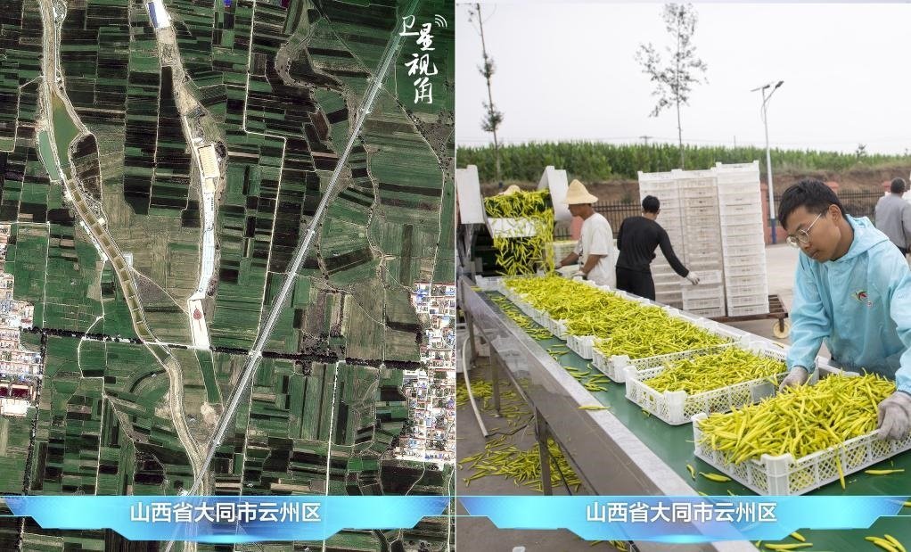 當(dāng)前，大同市開(kāi)發(fā)黃花菜品、食品、飲品、功能食品、化妝品、文創(chuàng)產(chǎn)品六大系列130余種，全產(chǎn)業(yè)鏈產(chǎn)值超40億元。