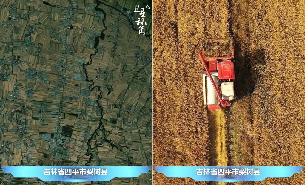 隨著現(xiàn)代化農(nóng)機(jī)普及應(yīng)用，保護(hù)性耕作“梨樹(shù)模式”得以大面積推廣，不僅使黑土地保護(hù)與利用持續(xù)深入，更為糧食作物高產(chǎn)穩(wěn)產(chǎn)助力。