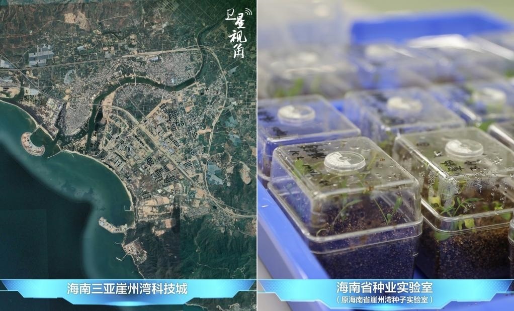 位于三亞崖州灣科技城的海南省種業(yè)實(shí)驗(yàn)室（原海南省崖州灣種子實(shí)驗(yàn)室）將形成輻射全國(guó)和“一帶一路”沿線國(guó)家的種子科學(xué)技術(shù)創(chuàng)新中心。
