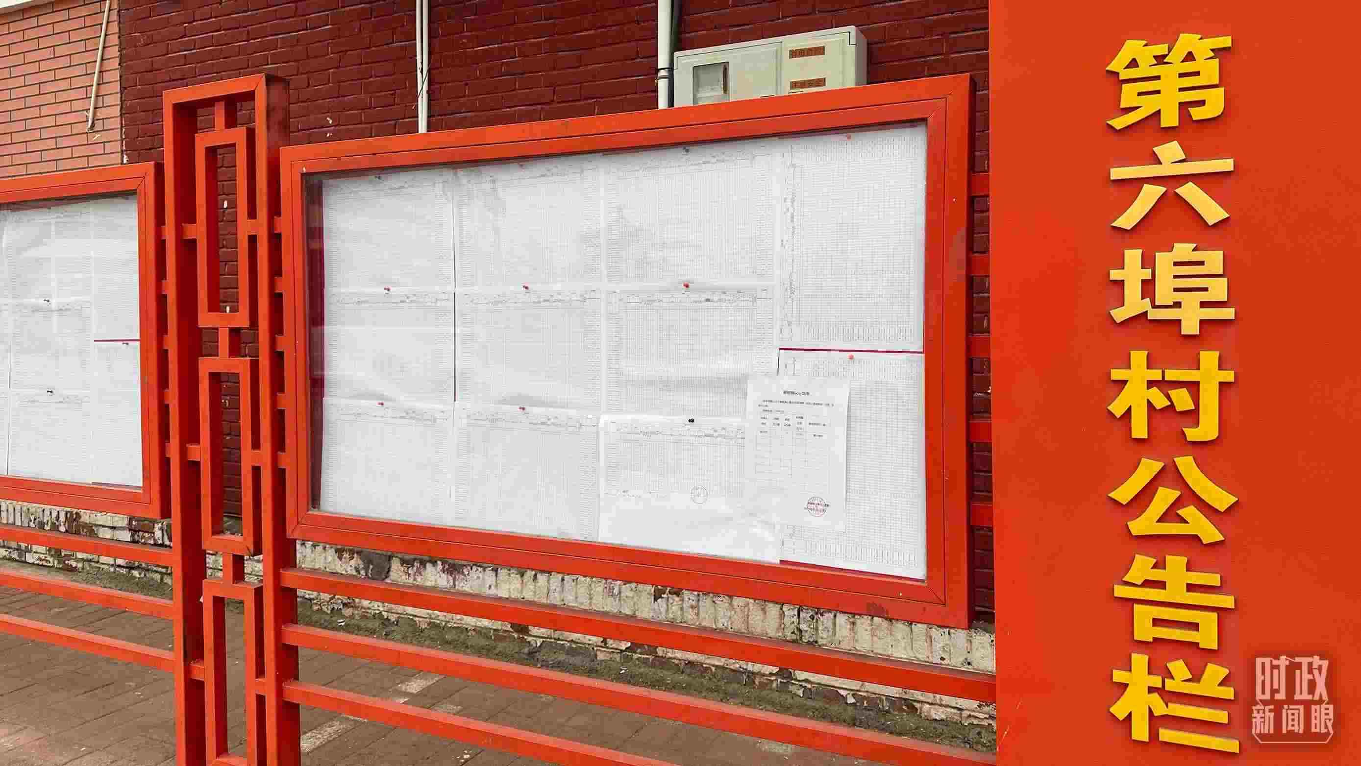 △第六埠村公告欄里張貼著“天津市2023年蓄滯洪區(qū)農(nóng)作物、經(jīng)濟林補償標準表”等。（總臺央視記者覃思拍攝）