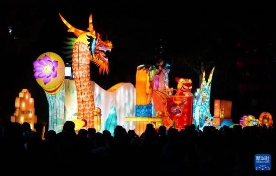 2月11日晚，人們在濟南市趵突泉公園觀賞花燈。