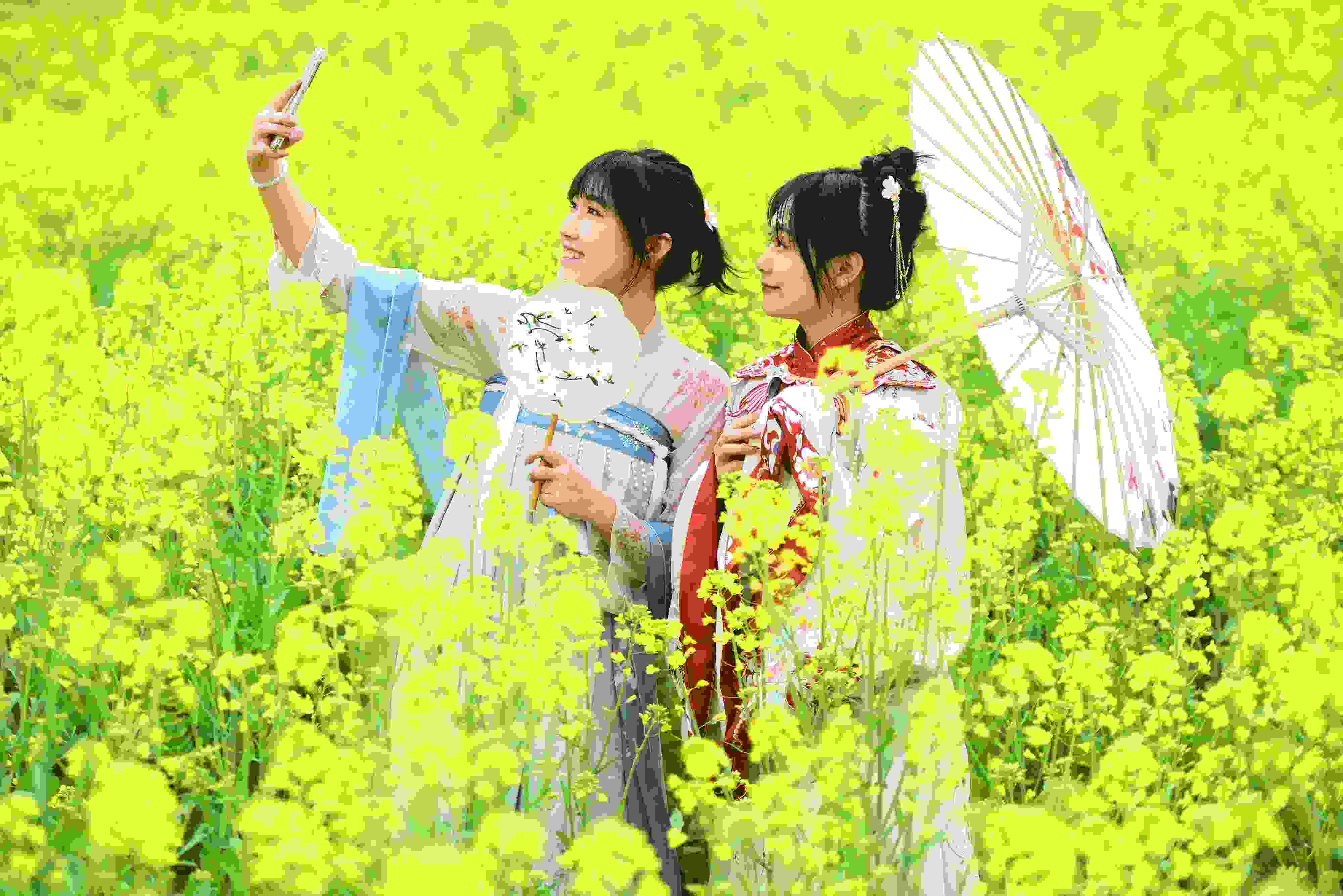 △ 2024年2月16日，廣西賀州，在富川瑤族自治縣麥嶺鎮(zhèn)三民村，游客在油菜花田間賞花拍照。