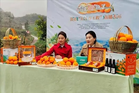 2021年2月26日，在重慶渝北區(qū)大盛鎮(zhèn)青龍村舉辦的直播活動(dòng)現(xiàn)場(chǎng)。