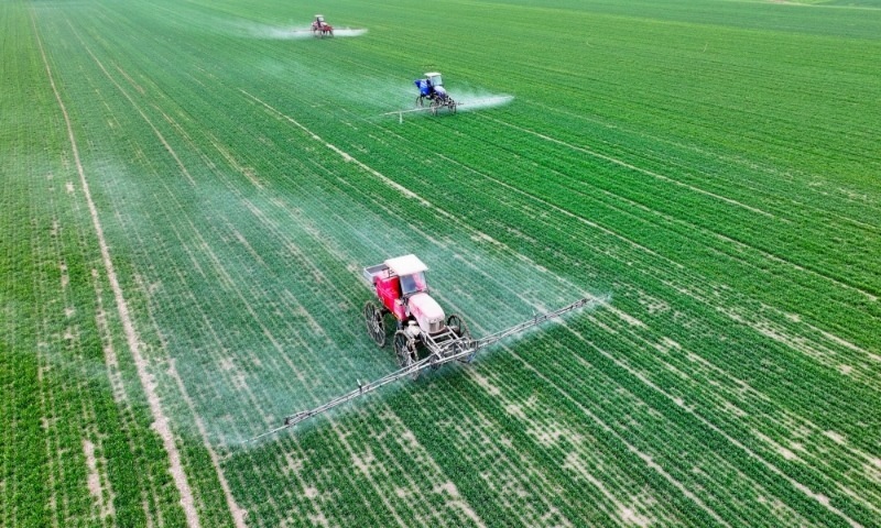 2024年2月18日，安徽省亳州市，利辛縣紀(jì)王場(chǎng)鄉(xiāng)孫老家村麥田，農(nóng)民駕駛自走式高桿噴霧機(jī)對(duì)小麥進(jìn)行噴藥作業(yè)。