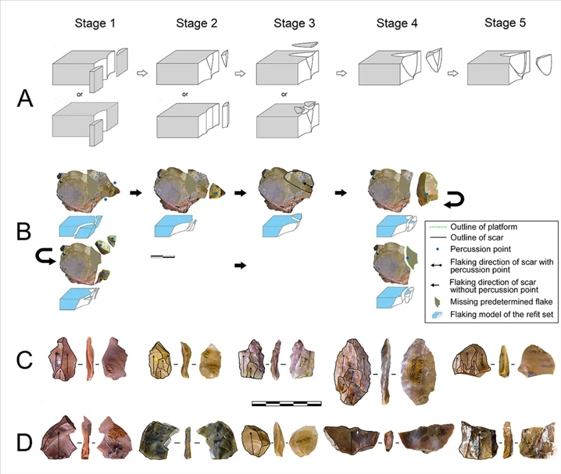 岑家灣遺址“準(zhǔn)備石核技術(shù)”及相關(guān)石制品。（受訪單位供圖）