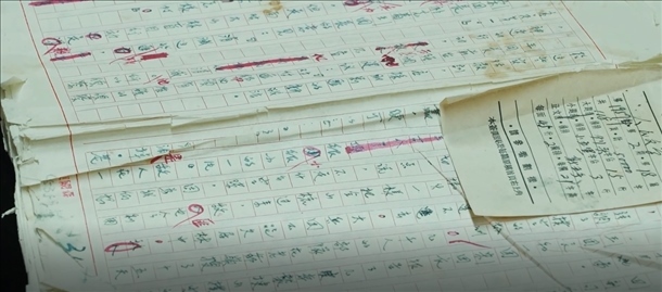 曲波《林海雪原》手稿。主辦方供圖