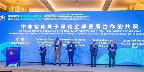 《中非智庫關于深化全球發(fā)展合作的共識》（又稱“中非達累斯薩拉姆共識”）發(fā)布。浙江師范大學非洲研究院供圖
