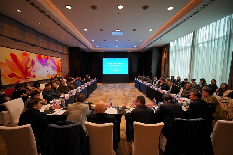 座談會(huì)現(xiàn)場。主辦方供圖
