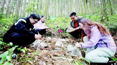 分得宜春地 東偏一畫屏——江西省分宜縣院地共促科研轉化助推鄉(xiāng)村振興