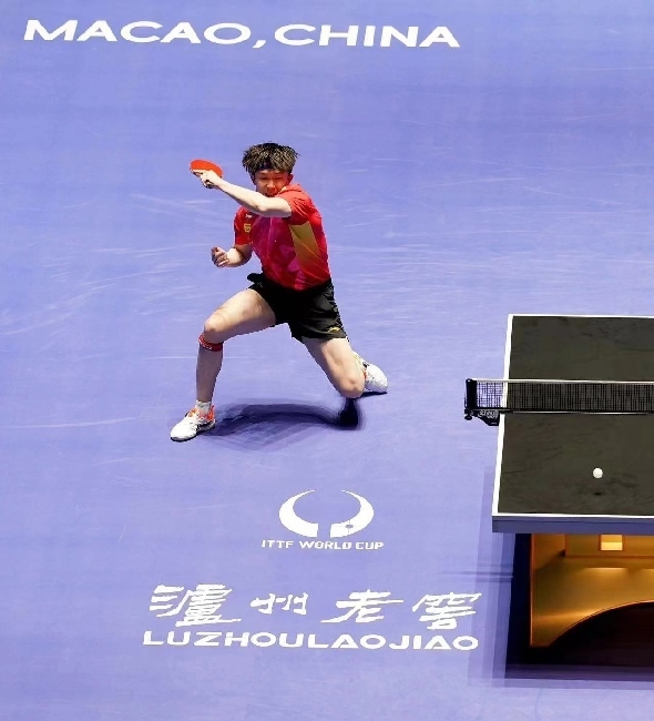 王楚欽在比賽中。賽事方供圖