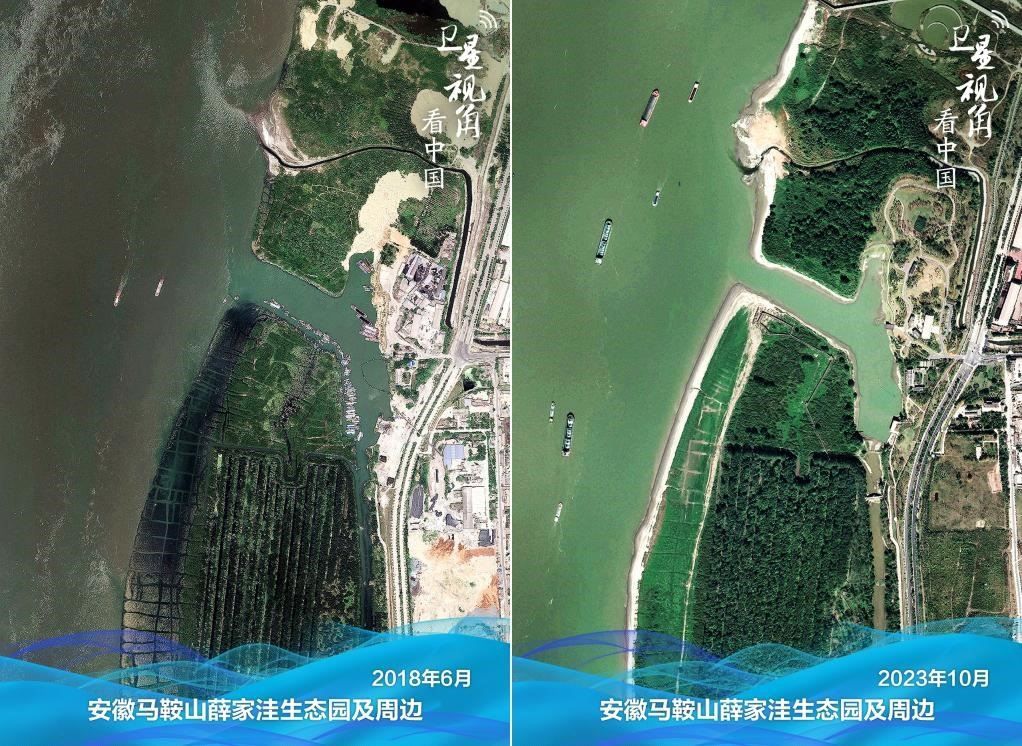 經(jīng)過整治后的安徽馬鞍山薛家洼生態(tài)園生機(jī)盎然。