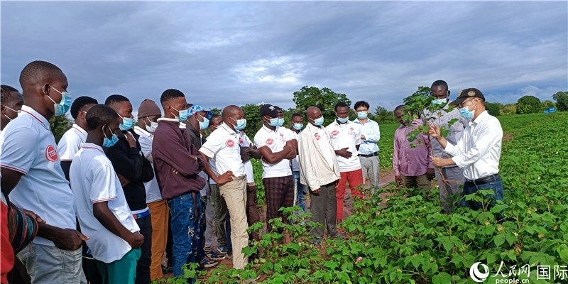 項(xiàng)目組長(zhǎng)首小勇向當(dāng)?shù)孛揶r(nóng)做技術(shù)講解。人民網(wǎng)記者 黃培昭攝