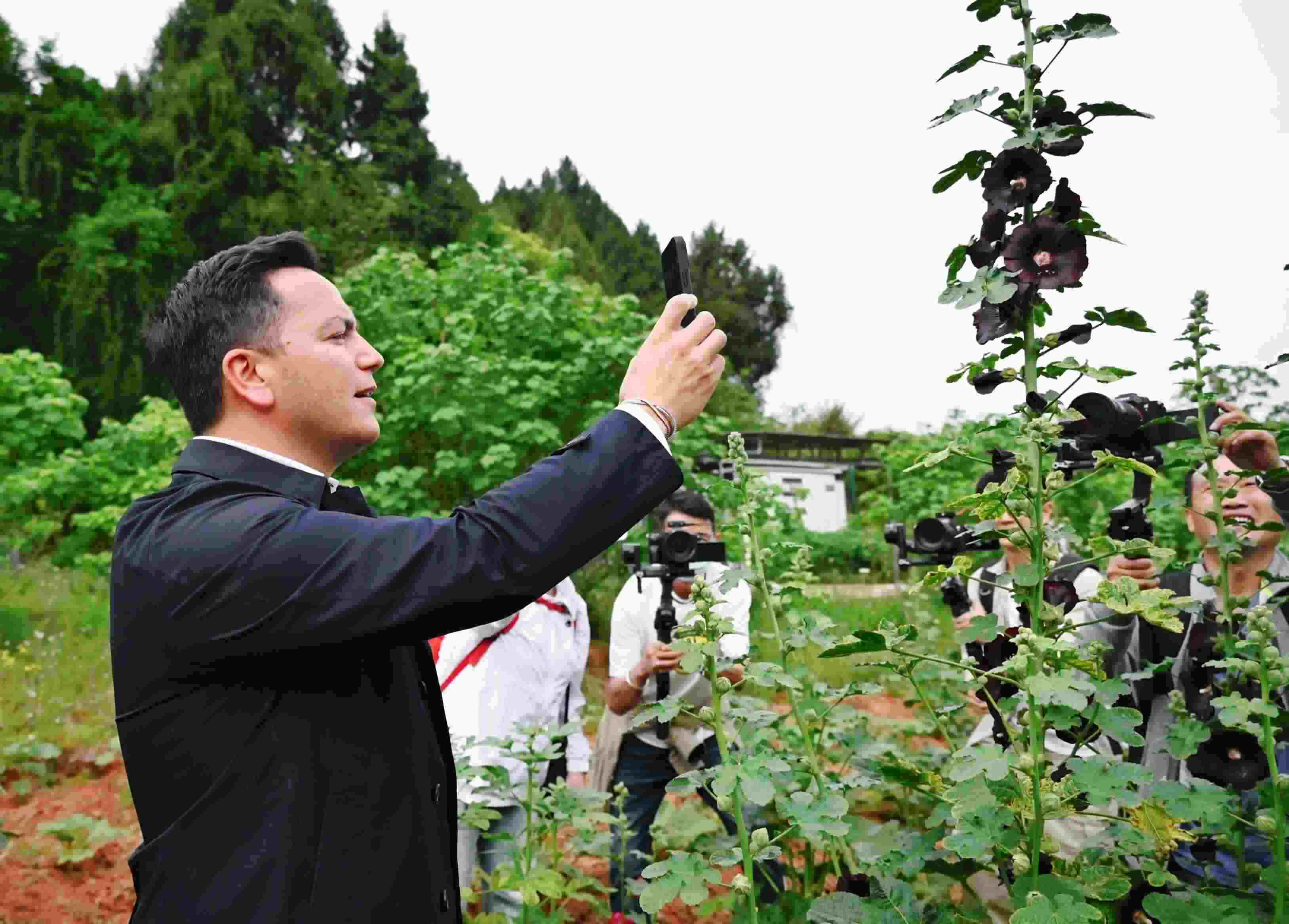  △2024年4月23日，國際園藝生產(chǎn)者協(xié)會主席萊昂納多·卡皮塔尼奧在成都市金堂縣鮮花山谷景區(qū)考察蜀葵產(chǎn)業(yè)。