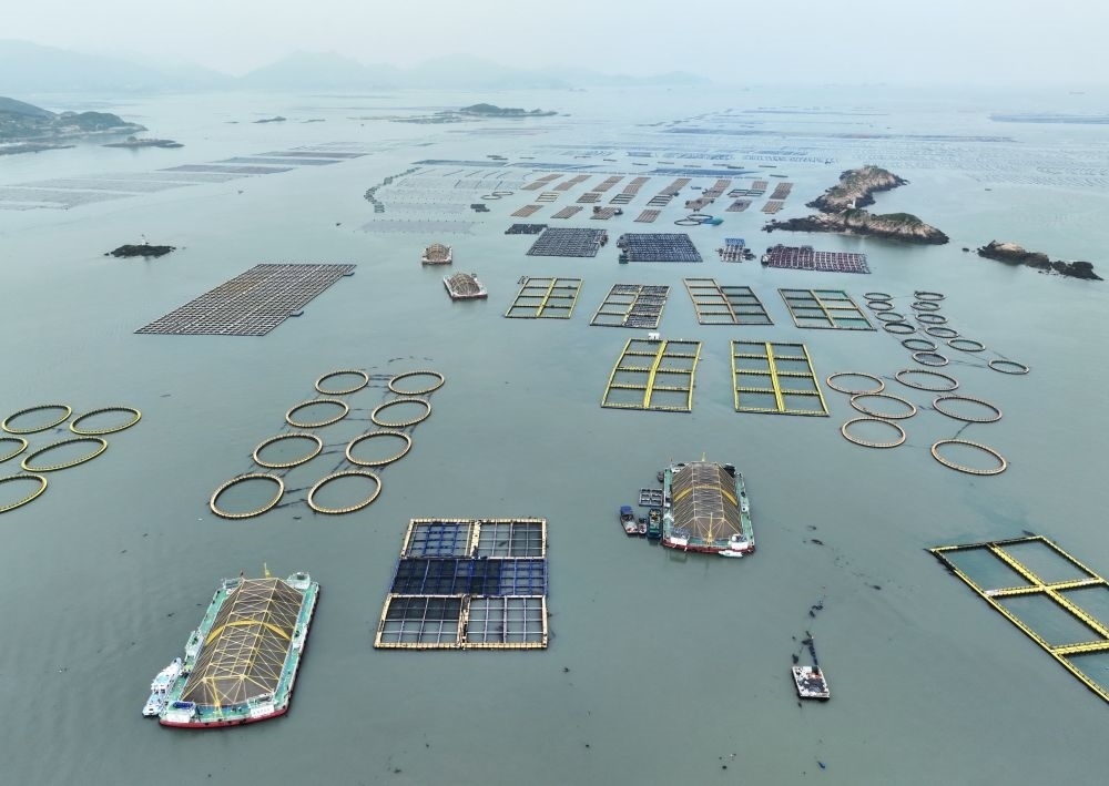在福建連江定海灣海域，坐落著“定海灣1號”“定海灣2號”等深遠(yuǎn)海養(yǎng)殖平臺（2024年5月7日攝，無人機(jī)照片）。新華社記者 林善傳 攝