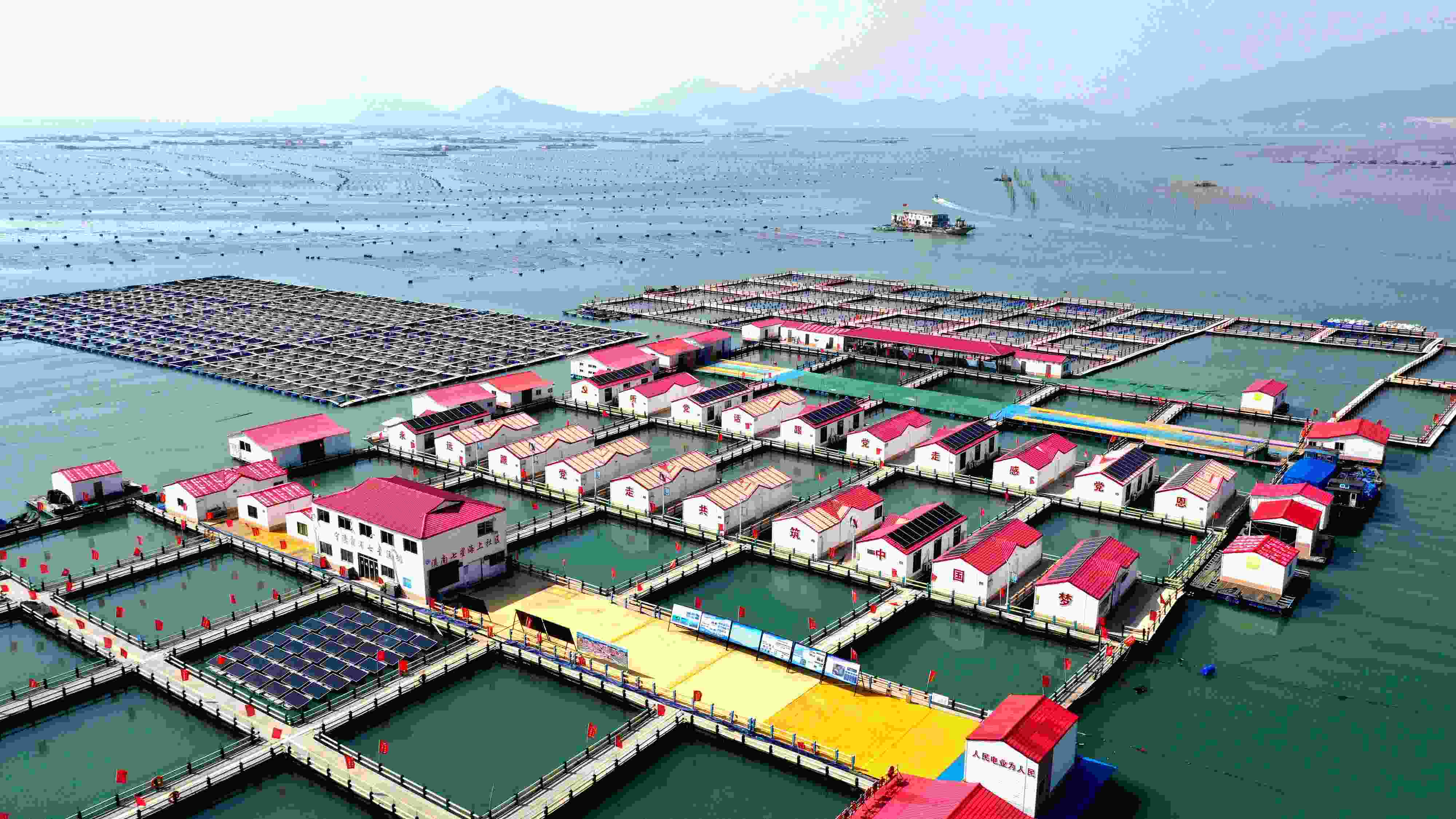 2024年3月20日，福建省寧德市，霞浦縣溪南鎮(zhèn)七星村漁排養(yǎng)殖示范區(qū)，漁民駕駛養(yǎng)殖船進(jìn)行海參養(yǎng)殖作業(yè)。