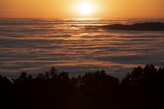 這是5月14日在美國(guó)加利福尼亞州馬林縣拍攝的云海。新華社發(fā)（李建國(guó)攝）