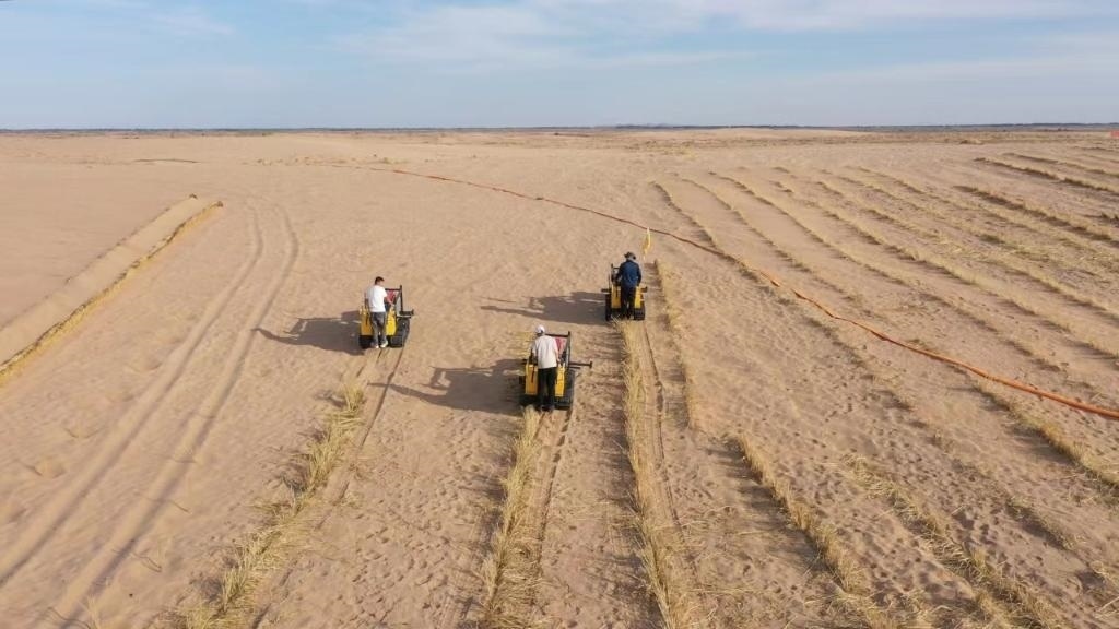 內(nèi)蒙古巴彥淖爾市烏拉特后旗西補(bǔ)隆林業(yè)管護(hù)中心職工駕駛機(jī)械鋪設(shè)壓沙障。新華社記者 李云平 攝