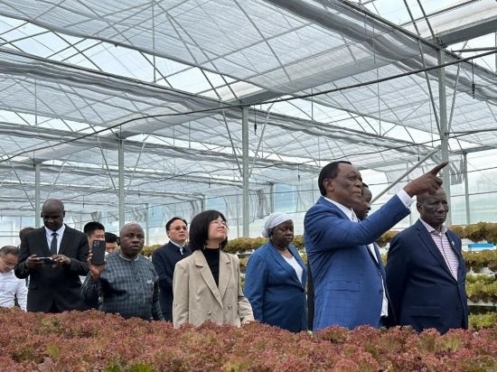 使節(jié)團(tuán)考察貴州省清鎮(zhèn)駱家橋蔬菜保供基地的無土栽培溫室。新華社記者 袁睿 攝