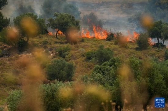 6月12日，以色列北部加利利地區(qū)遭受火箭彈襲擊后冒出滾滾濃煙。新華社發(fā)（阿亞爾·馬戈林攝/基尼圖片社）