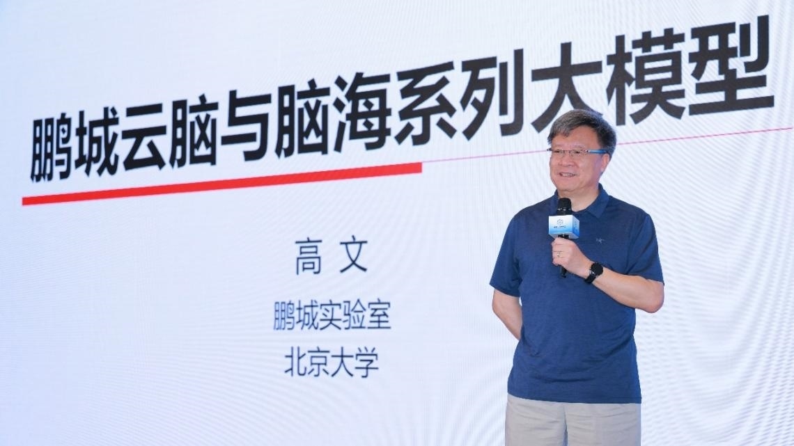 高文院士做大會特邀報告。主辦方供圖