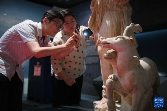 7月2日，安徽博物院工作人員在拍攝開箱后的古希臘文物。新華社記者 張端 攝