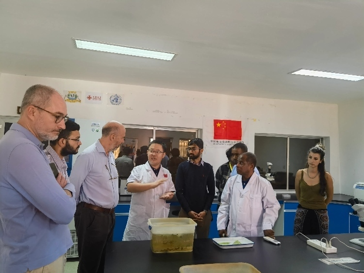 活動現(xiàn)場。專家組供圖