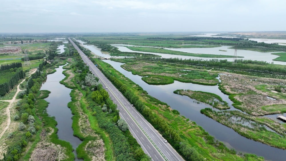 這是2024年6月13日拍攝的黃河寧夏段濱河大道（無(wú)人機(jī)照片）。近年來(lái)，寧夏努力建設(shè)黃河流域生態(tài)保護(hù)和高質(zhì)量發(fā)展先行區(qū)，全力打好黃河保護(hù)持久戰(zhàn)。新華社記者 王鵬 攝