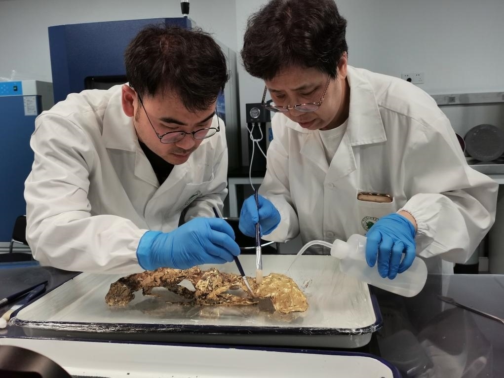 2023年7月，馬燕如（右）帶著魯海子（左）修復(fù)三星堆遺址出土的黃金面具。新華社發(fā)（四川省文物考古研究院供圖）