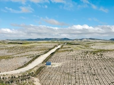 剛剛竣工的其白線穿沙公路。