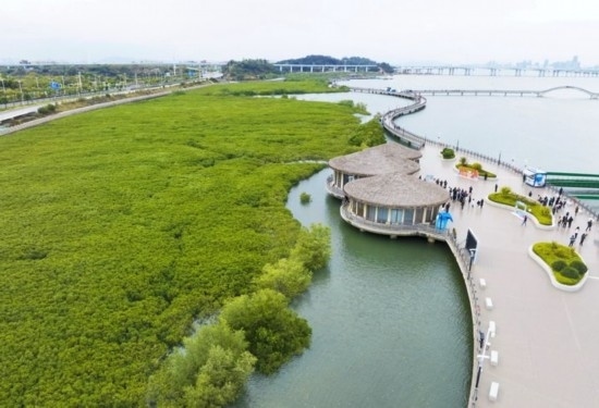 2024年1月23日拍攝的廈門(mén)市翔安區(qū)下潭尾紅樹(shù)林公園（無(wú)人機(jī)照片）。新華社記者 林善傳 攝