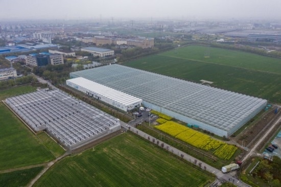 2024年3月28日，空中俯瞰嘉興南湖區(qū)湘家蕩農(nóng)業(yè)數(shù)字化工廠（無(wú)人機(jī)照片）。該農(nóng)業(yè)數(shù)字化工廠占地總面積約62畝，包含智慧農(nóng)業(yè)生產(chǎn)、物聯(lián)網(wǎng)智能管理、自動(dòng)分揀包裝、保鮮儲(chǔ)藏物流、高科技示范展示等五大功能區(qū)，可直接或間接培養(yǎng)帶動(dòng)新型職業(yè)技術(shù)農(nóng)民500人以上。新華社記者 徐昱 攝