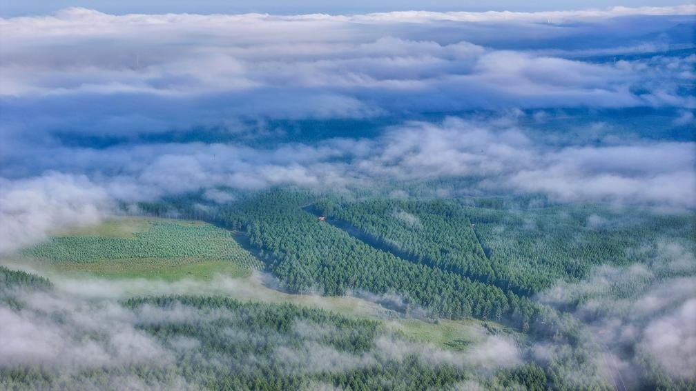 2024年7月26日拍攝的塞罕壩國家級自然保護(hù)區(qū)景色。新華社發(fā)（劉滿倉 攝）