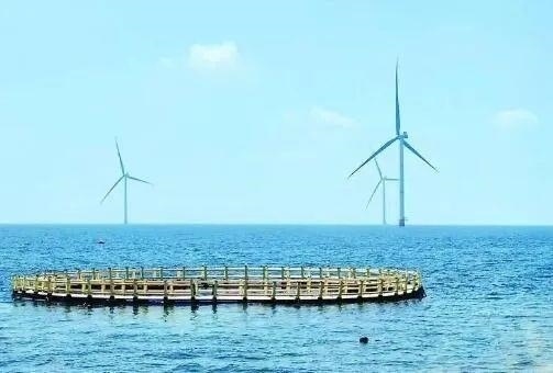 △山東萊州風(fēng)電項(xiàng)目實(shí)現(xiàn)了海上風(fēng)電和海洋牧場(chǎng)融合發(fā)展。