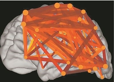 圖上的線條代表大腦皮層中與語言處理相關(guān)的各個區(qū)域之間的連接。當(dāng)閱讀時，這些區(qū)域的神經(jīng)元會以精確同步的方式激發(fā)，這種現(xiàn)象被稱為共同漣漪。圖片來源：加州大學(xué)圣迭戈分校