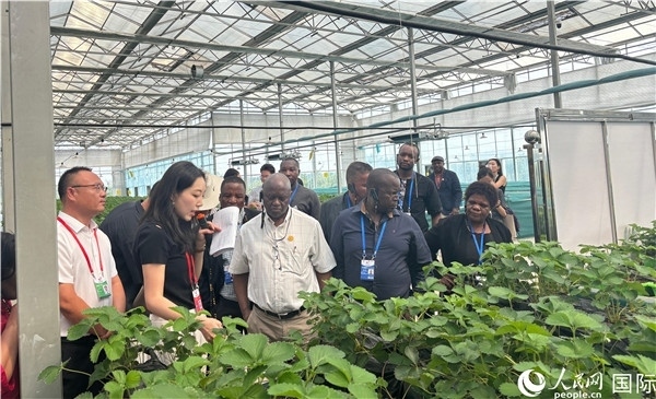 研討班成員在大棚中了解植物種植技術(shù)。人民網(wǎng) 曹欣悅攝