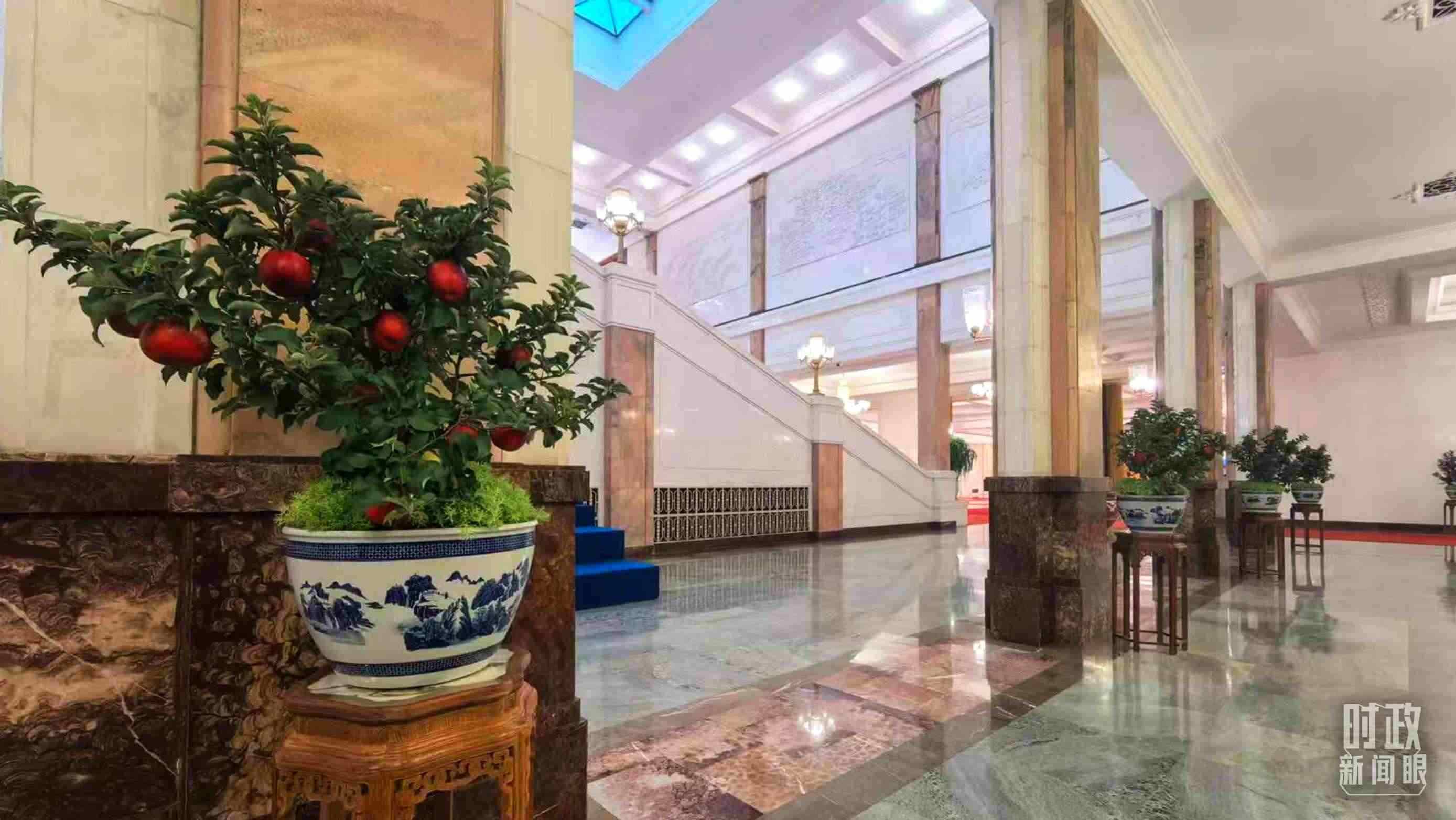  △大會堂內(nèi)的“碩果累累”盆栽。（總臺國廣記者吳倩拍攝）