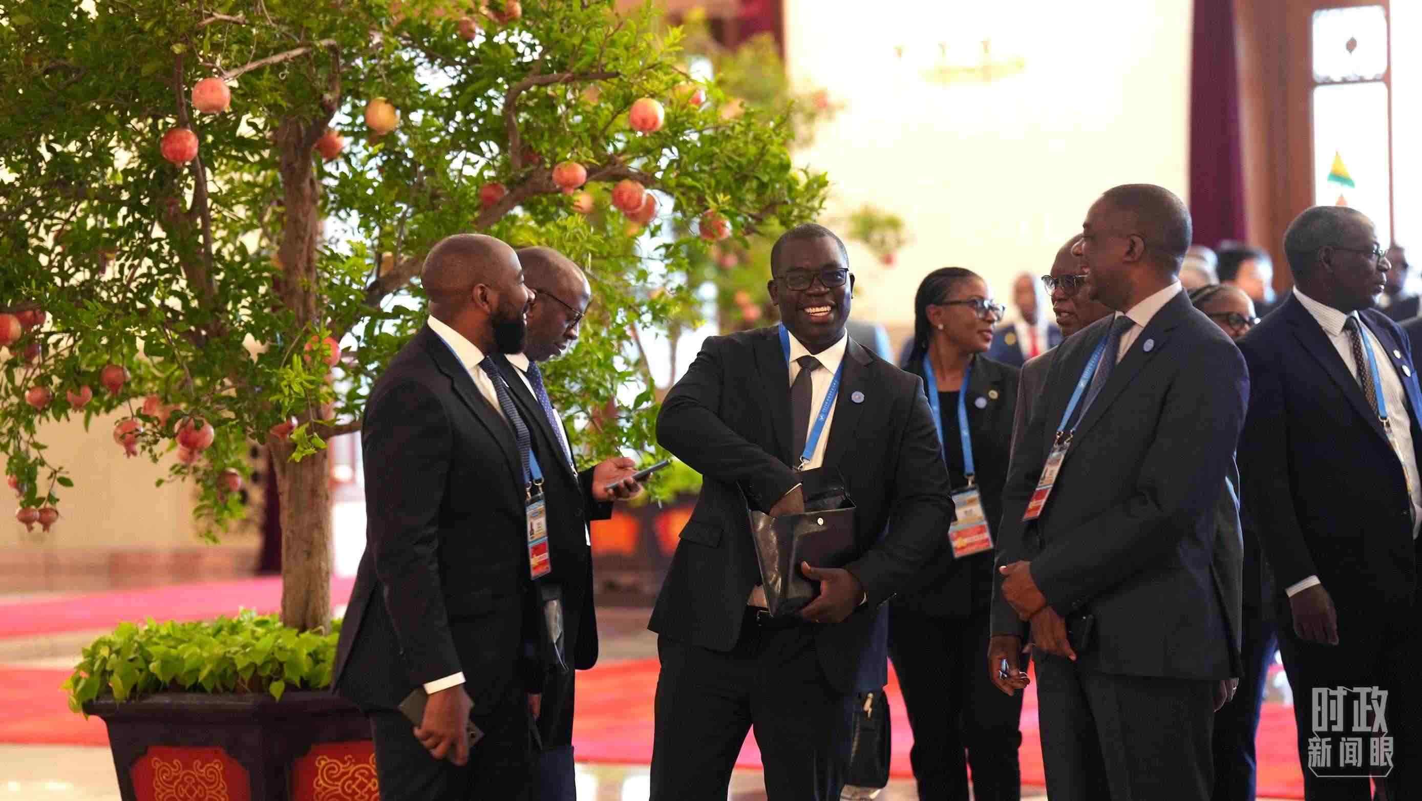 出席中非合作論壇北京峰會(huì)的非洲國(guó)家代表。（總臺(tái)記者李晉拍攝）