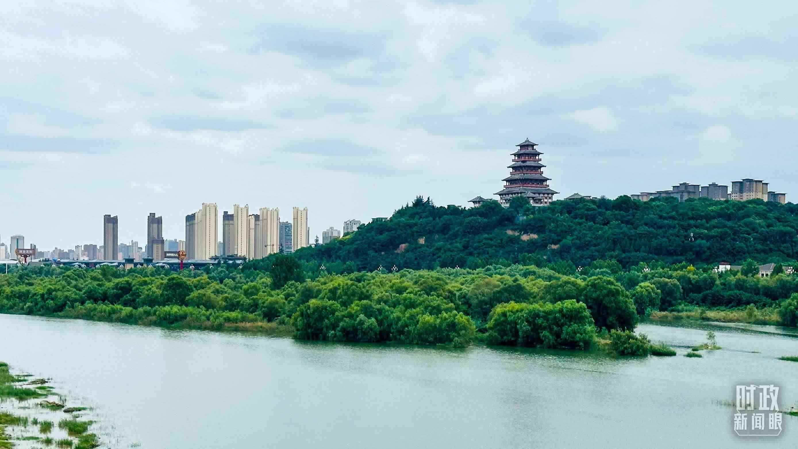 △黃河的第一大支流——渭河。（總臺央視記者范一鳴拍攝）