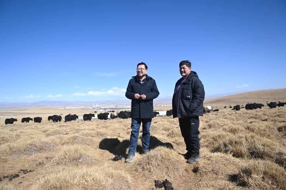 2023年2月24日，在青海省海北藏族自治州海晏縣青海湖鄉(xiāng)達玉日秀村，全國人大代表董全民（左）查看牧民東知布家的草場。新華社記者 張龍 攝