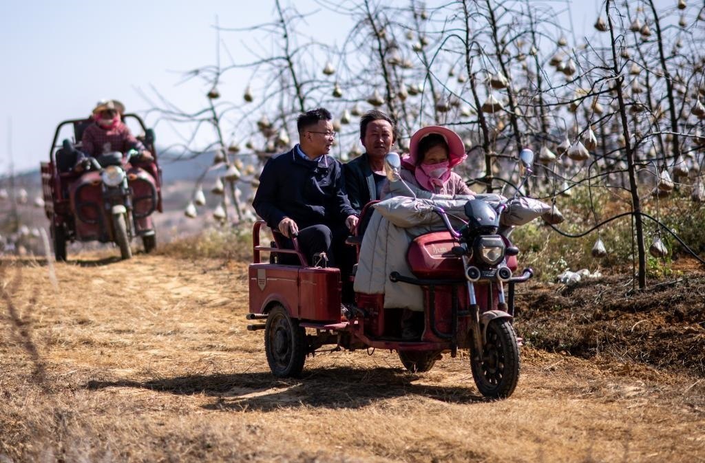 全國人大代表袁海波（右三）在云南省曲靖市馬龍區(qū)一種植基地了解務工人員就業(yè)需求（2023年2月11日攝）。新華社記者 江文耀 攝