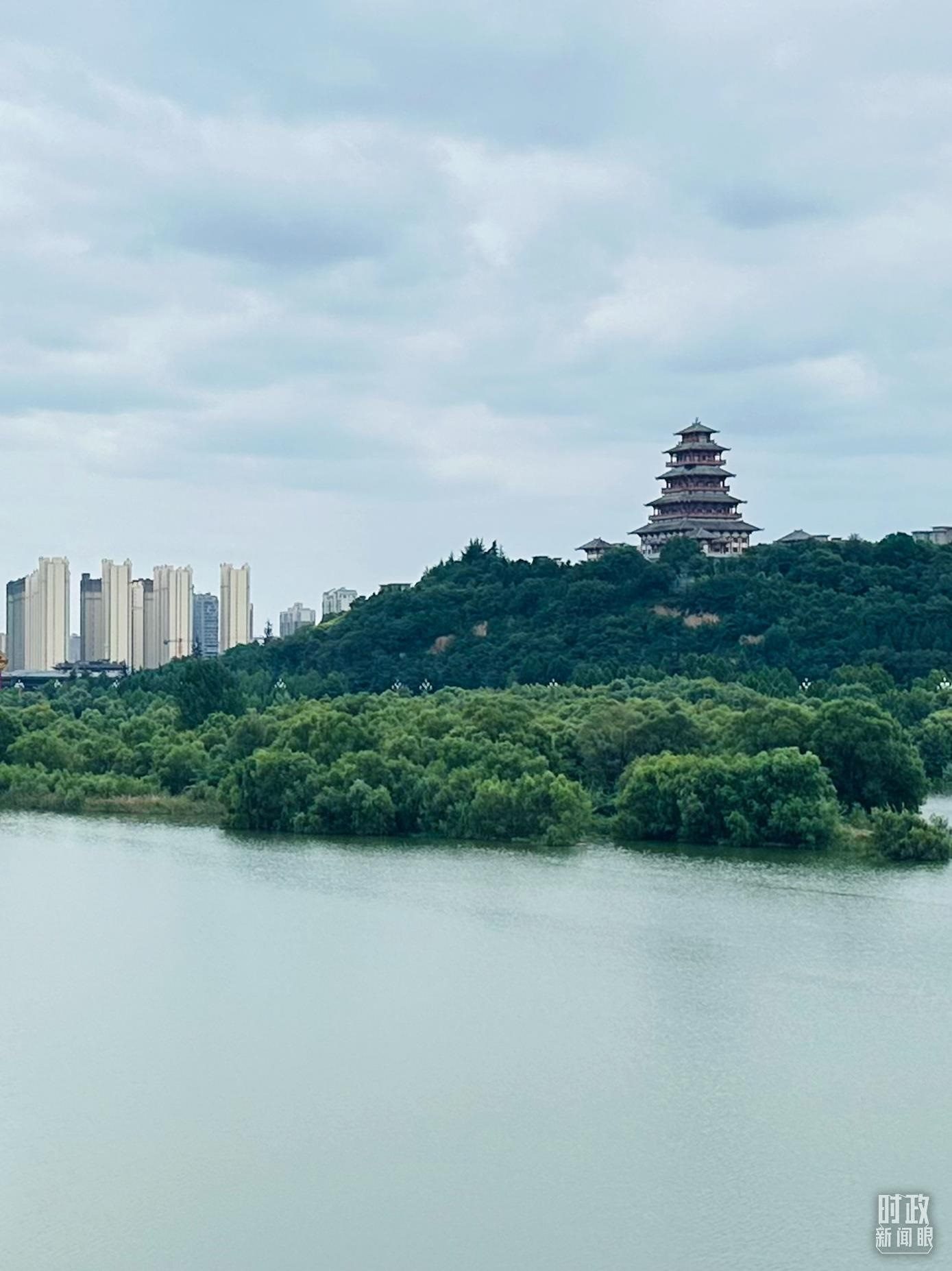 △渭河寶雞段長224公里，目前建成17處渭河灘區(qū)生態(tài)涵養(yǎng)區(qū)。（總臺央視記者范一鳴拍攝）