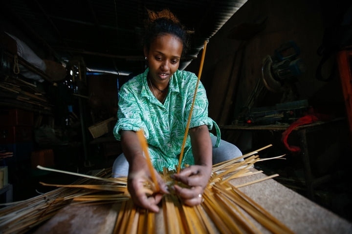 2024年8月10日，菲基爾特·加布雷在埃塞俄比亞首都亞的斯亞貝巴名為“綠色金子”的竹藤工作室里加工竹制產(chǎn)品。新華社發(fā)（邁克爾·特韋爾德 攝）