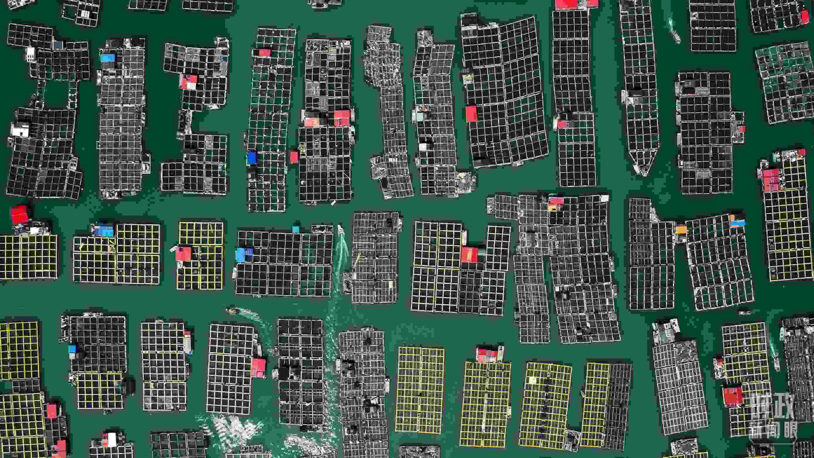 △澳角村。（總臺記者李晉拍攝）