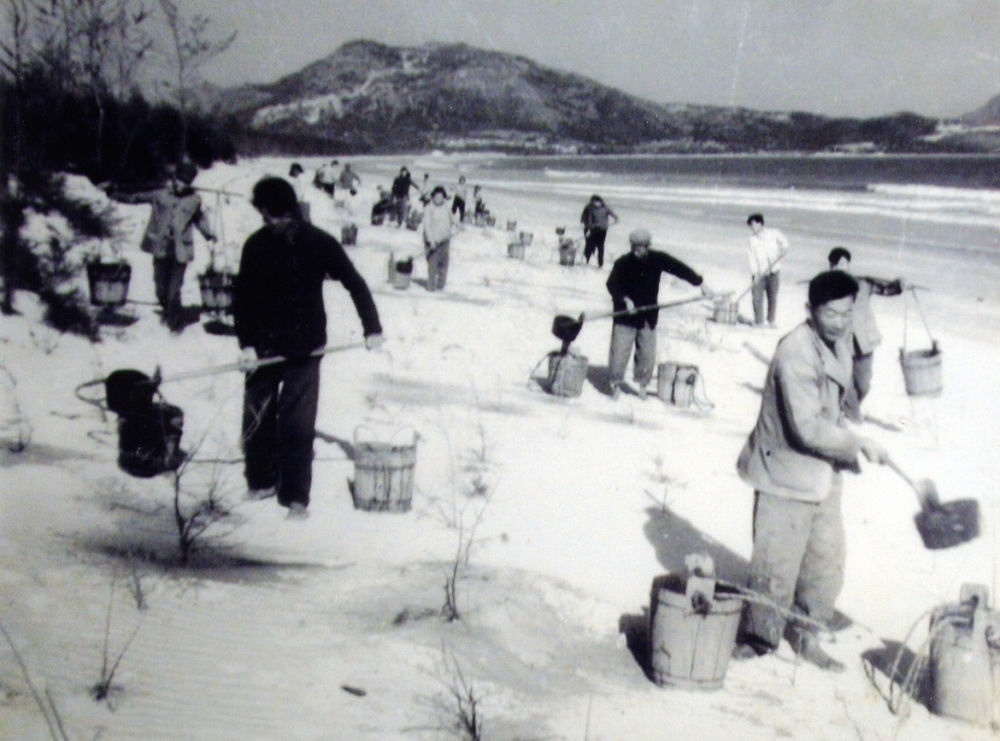 上世紀(jì)東山百姓在沙灘造林（資料照片）。