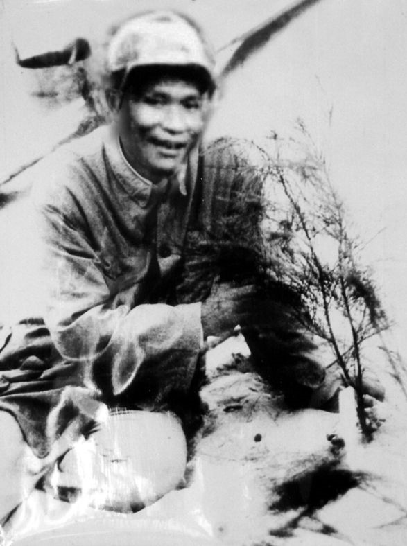 谷文昌與試種成活的木麻黃（資料照片）。為了治沙，谷文昌爬遍了東山縣400多個(gè)山頭，踏遍了30多公里的沙灘，終于帶領(lǐng)東山人民試種木麻黃成功。