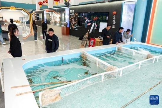 9月20日，游客在吉林省琿春市的帝王蟹保稅店內(nèi)選購帝王蟹。新華社記者 許暢 攝