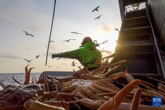 這是俄羅斯蟹業(yè)集團(tuán)工作人員進(jìn)行遠(yuǎn)洋捕撈的資料照片。新華社發(fā)（俄羅斯蟹業(yè)集團(tuán)供圖）